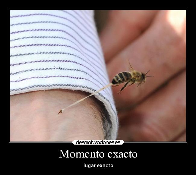 Momento exacto -