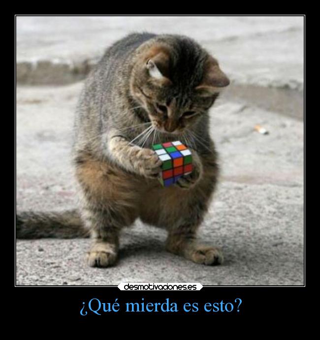 ¿Qué mierda es esto? - 