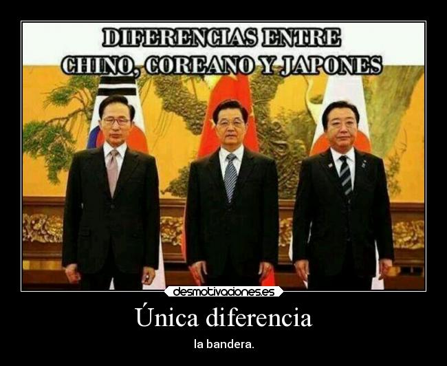 Única diferencia - la bandera.