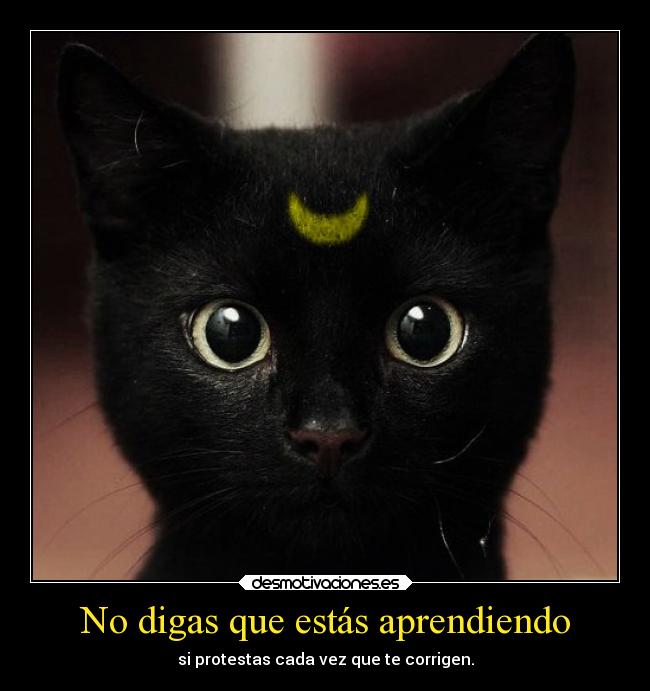 No digas que estás aprendiendo - 