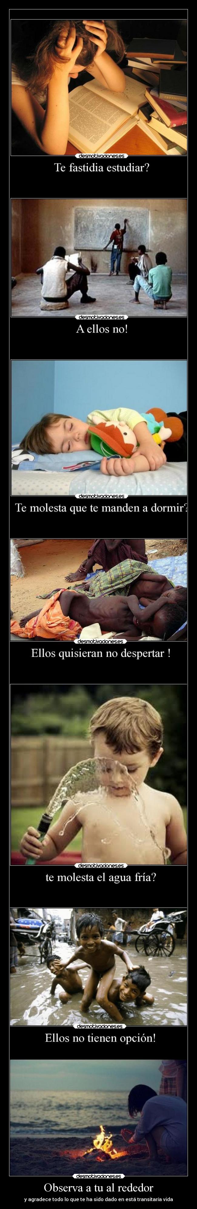 carteles vida desmotivaciones