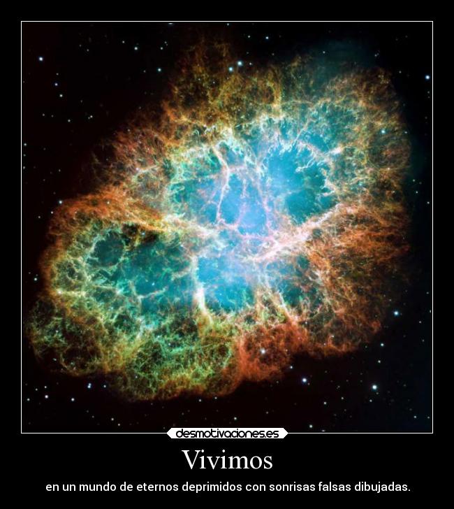 Vivimos - 