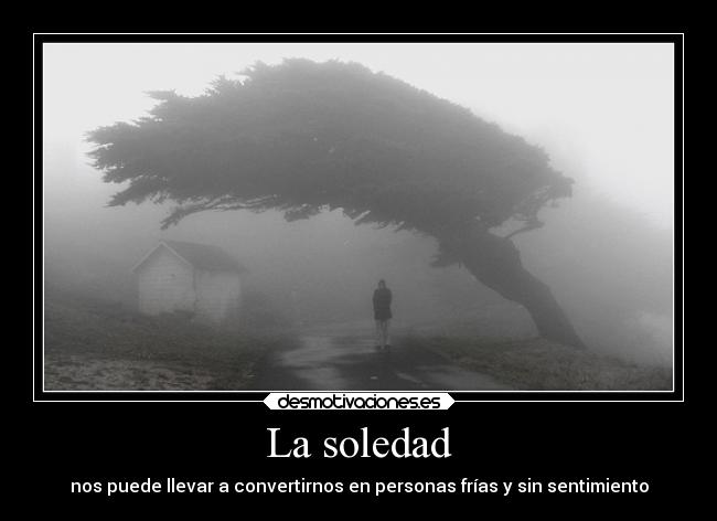 La soledad - nos puede llevar a convertirnos en personas frías y sin sentimiento