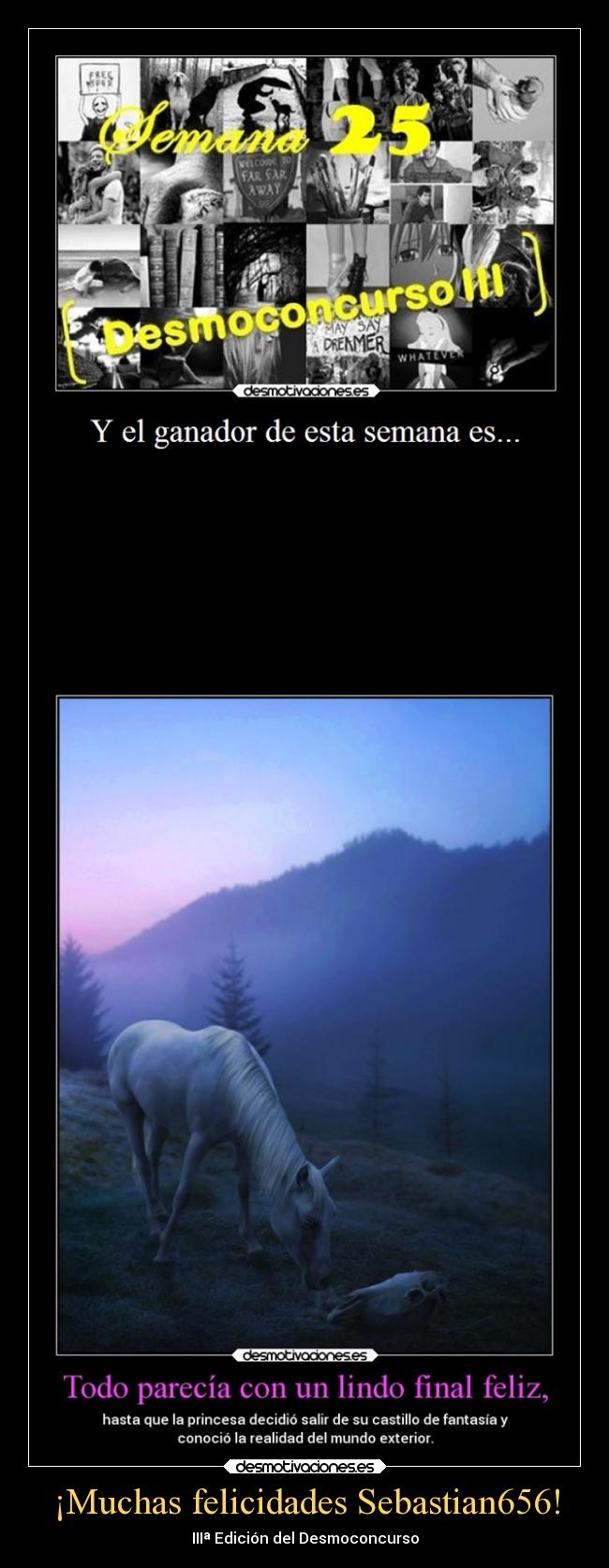 ¡Muchas felicidades Sebastian656! - IIIª Edición del Desmoconcurso