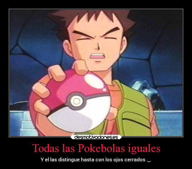 Todas las Pokebolas iguales - Y el las distingue hasta con los ojos cerrados ._.
