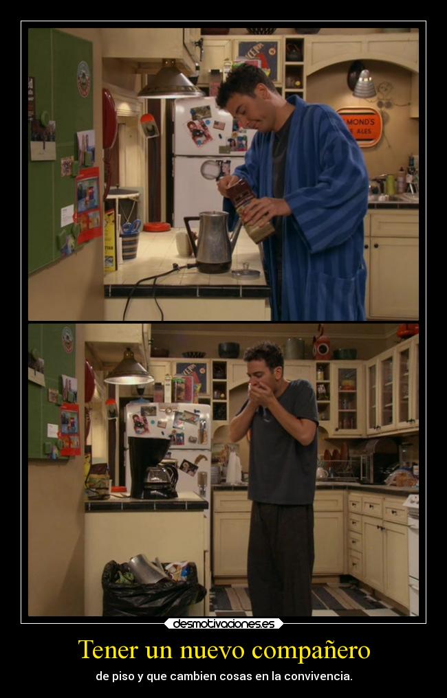 Tener un nuevo compañero - 