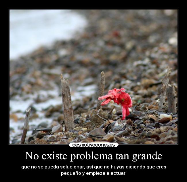 carteles telyg ejercitodemar yahoramevuelvopokehipster buscolaexcepcionnolaregla desmotivaciones