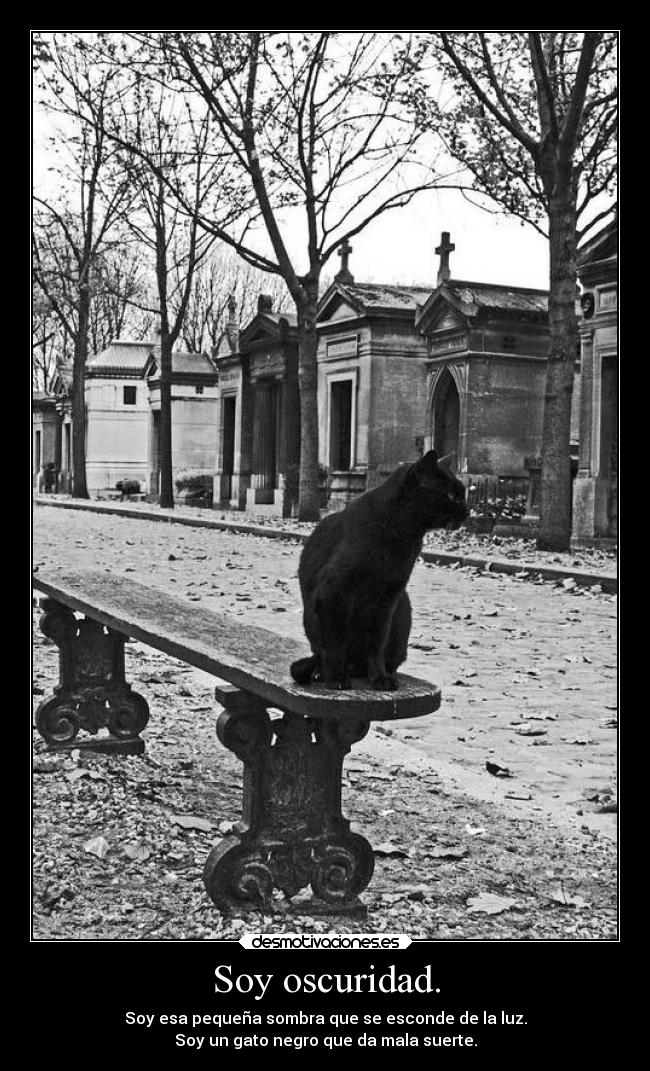 Soy oscuridad. - Soy esa pequeña sombra que se esconde de la luz.
Soy un gato negro que da mala suerte.