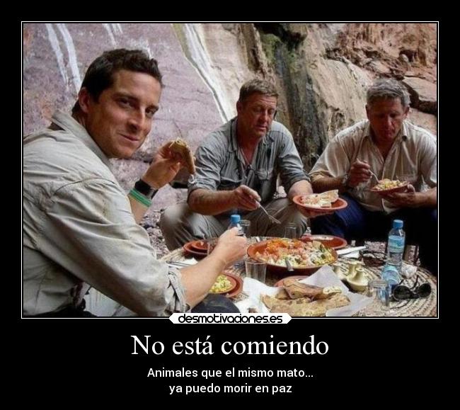 No está comiendo - Animales que el mismo mato...
ya puedo morir en paz