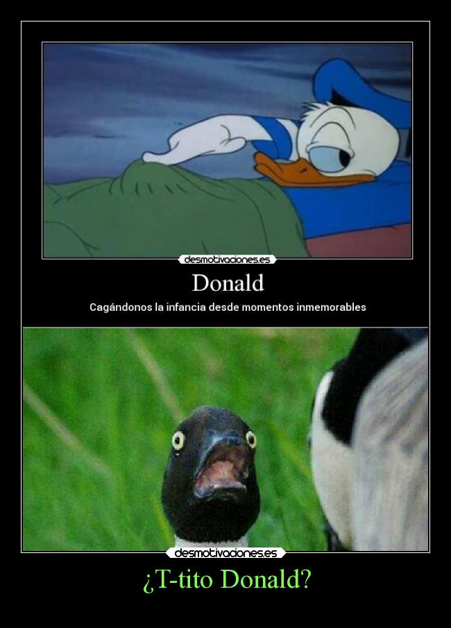 ¿T-tito Donald? -
