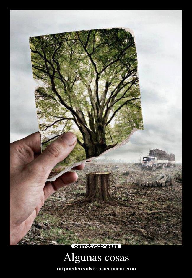 carteles ausencia desmotivaciones