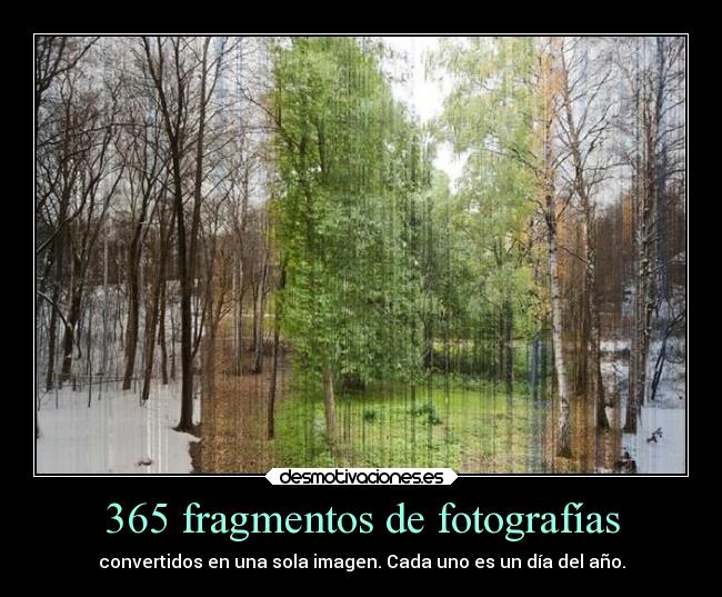 365 fragmentos de fotografías - 