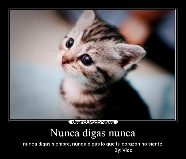 carteles amor desmotivaciones