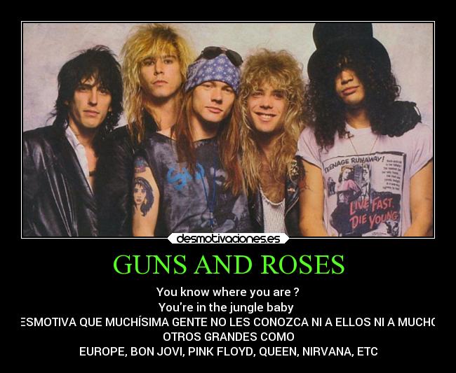 GUNS AND ROSES - 