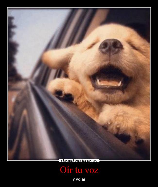 Oír tu voz - 