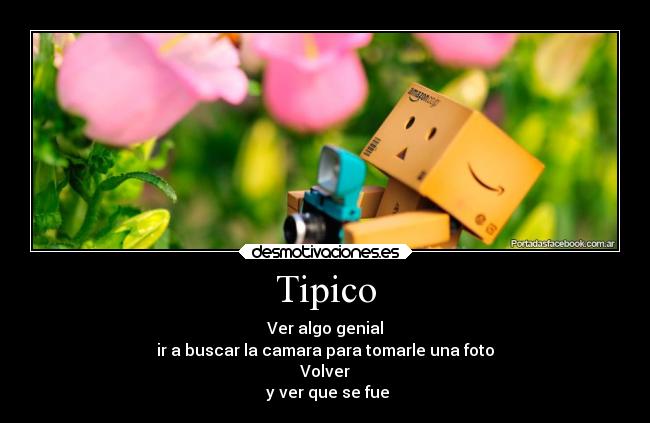 Tipico - 