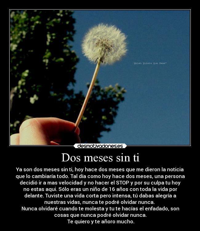 Dos meses sin ti - Ya son dos meses sin ti, hoy hace dos meses que me dieron la noticia
que lo cambiaría todo. Tal día como hoy hace dos meses, una persona
decidió ir a mas velocidad y no hacer el STOP y por su culpa tu hoy
no estas aqui. Sólo eras un niño de 16 años con toda la vida por
delante. Tuviste una vida corta pero intensa, tú dabas alegría a
nuestras vidas, nunca te podré olvidar nunca.
Nunca olvidaré cuando te molesta y tu te hacías el enfadado, son
cosas que nunca podré olvidar nunca.
Te quiero y te añoro mucho.