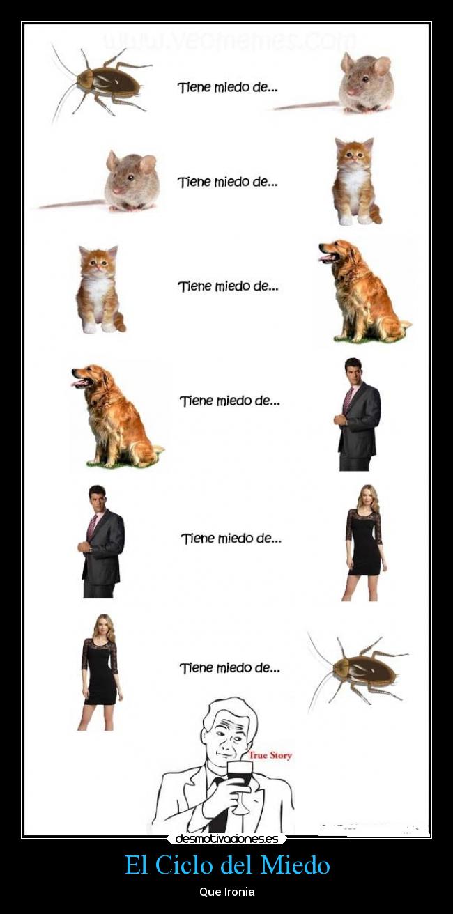 El Ciclo del Miedo -