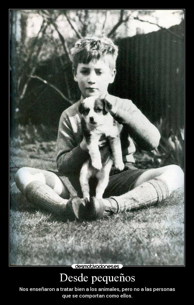 Desde pequeños - Nos enseñaron a tratar bien a los animales, pero no a las personas
que se comportan como ellos.