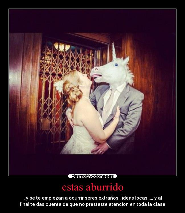 carteles love unicorn desmotivaciones