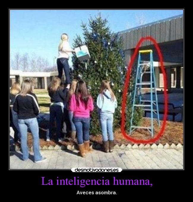 La inteligencia humana, - Aveces asombra.