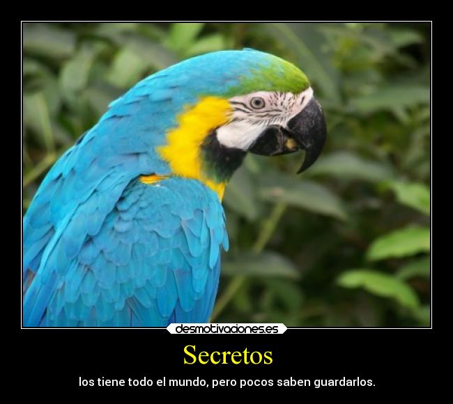 Secretos - 
