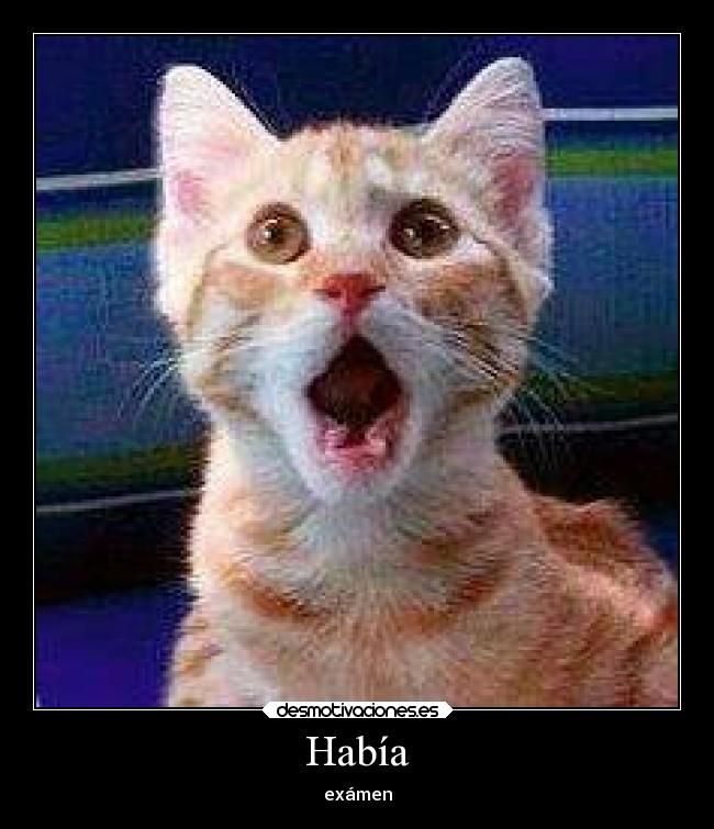 Había - exámen