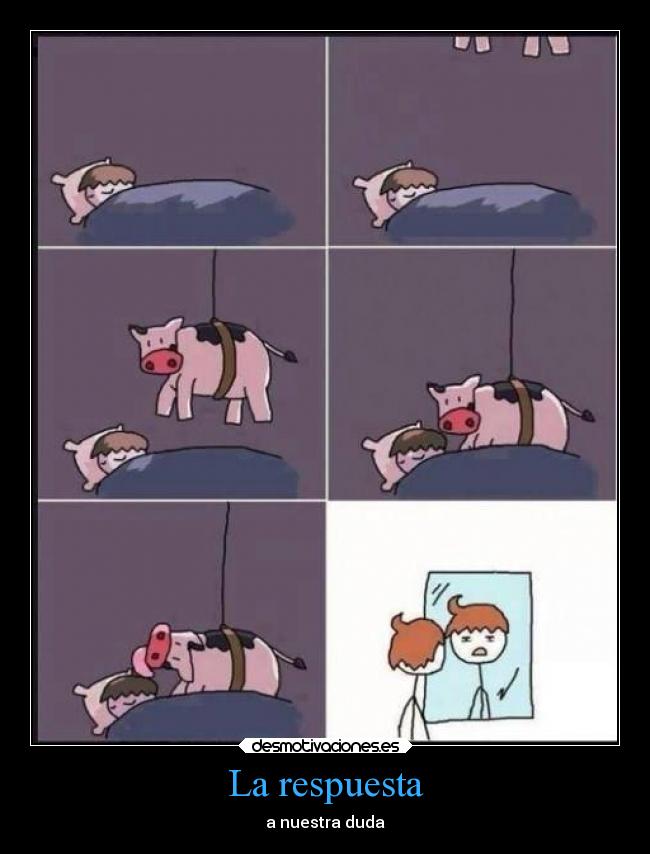 La respuesta - a nuestra duda