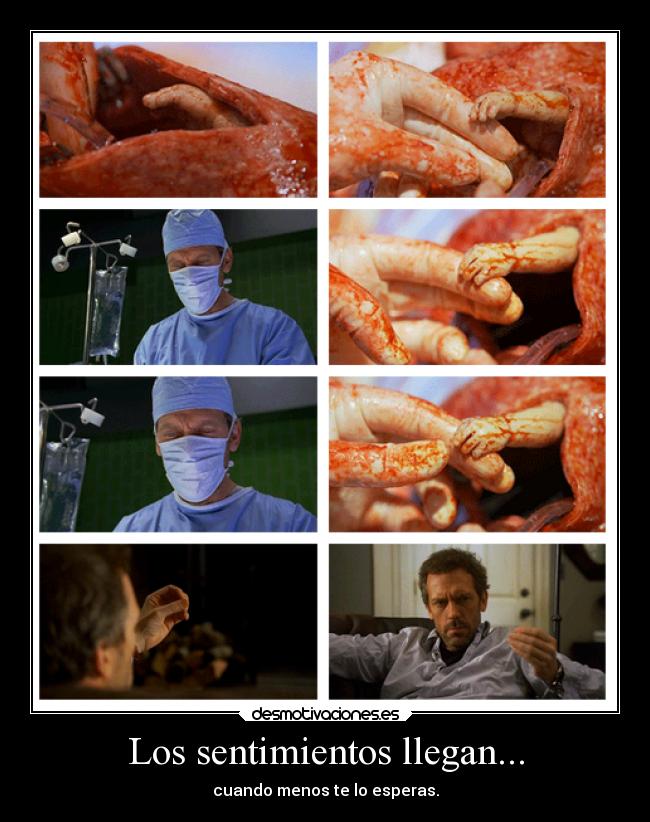 Los sentimientos llegan... - 