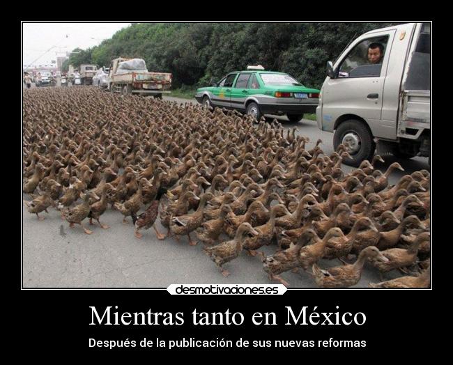 Mientras tanto en México - Después de la publicación de sus nuevas reformas