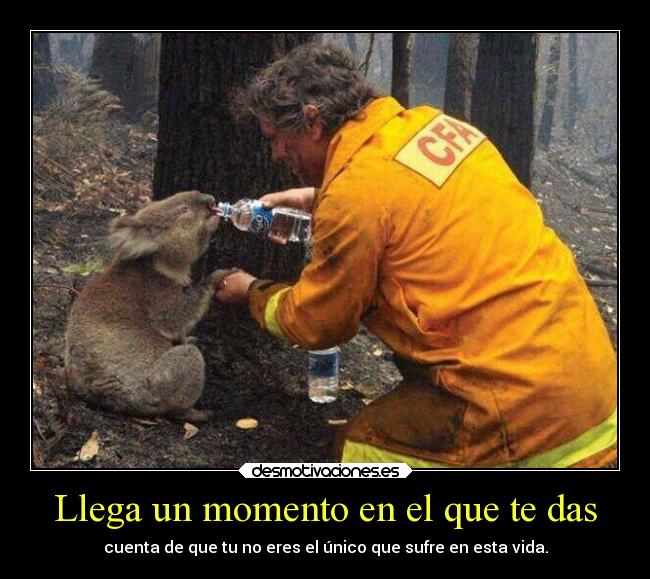 Llega un momento en el que te das - cuenta de que tu no eres el único que sufre en esta vida.