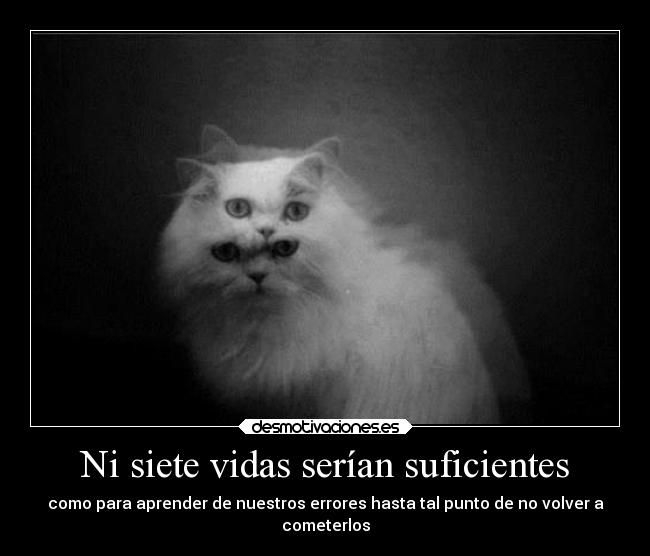 Ni siete vidas serían suficientes - como para aprender de nuestros errores hasta tal punto de no volver a
cometerlos
