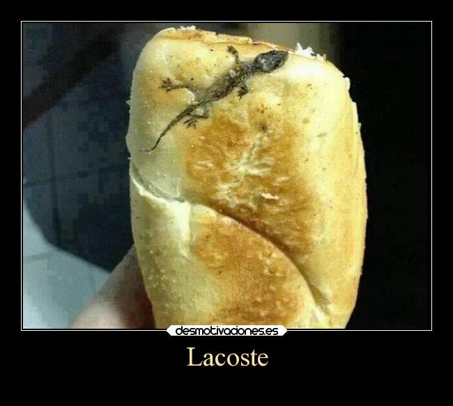 Lacoste -