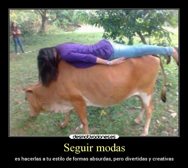 Seguir modas -