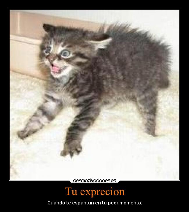 Tu exprecion - Cuando te espantan en tu peor momento.