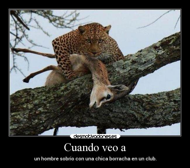 carteles desmotivaciones desmotivaciones