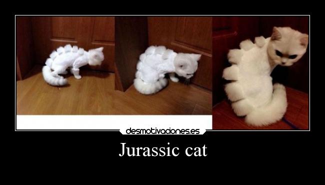 Jurassic cat -