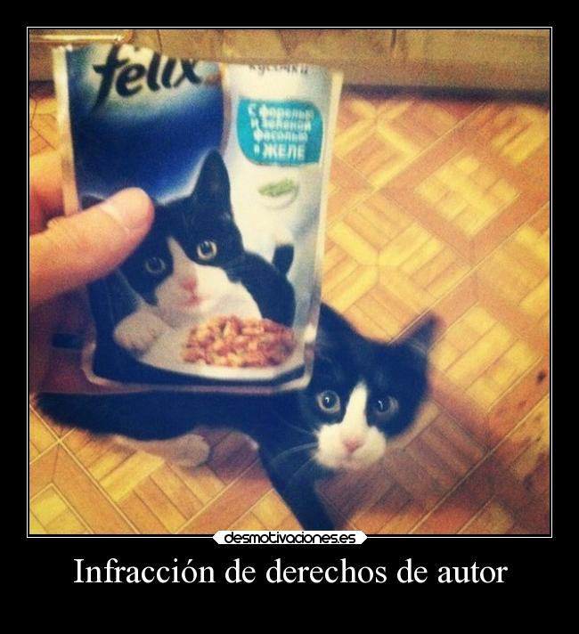 Infracción de derechos de autor -