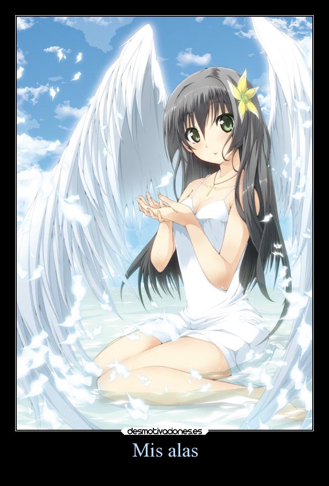 carteles anime vida desmotivaciones