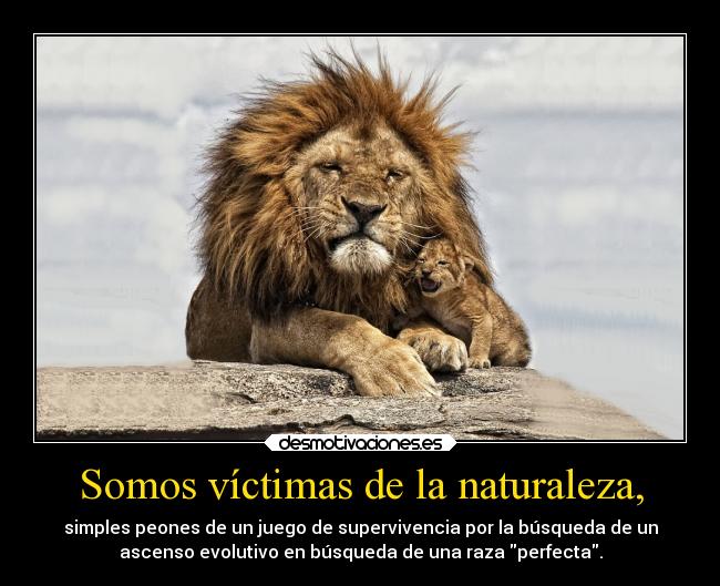 carteles naturaleza leon supervivencia naturaleza existencia filosofia practica evolucion animales seres humanos hum desmotivaciones