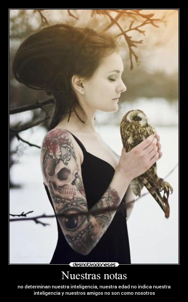 carteles vida desmotivaciones