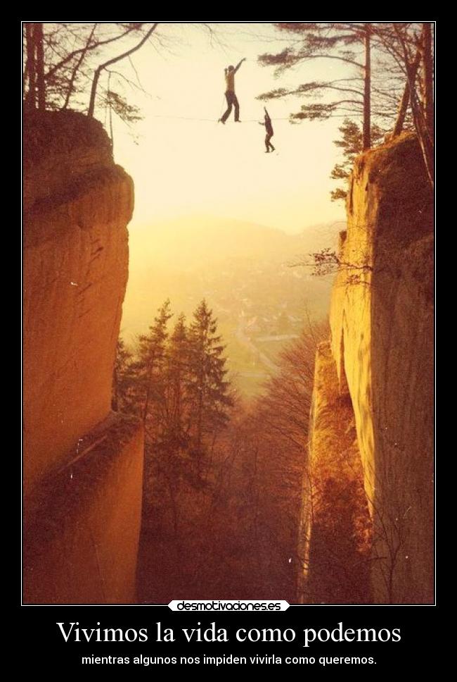 carteles vida itsmorethanafeeling desmotivaciones