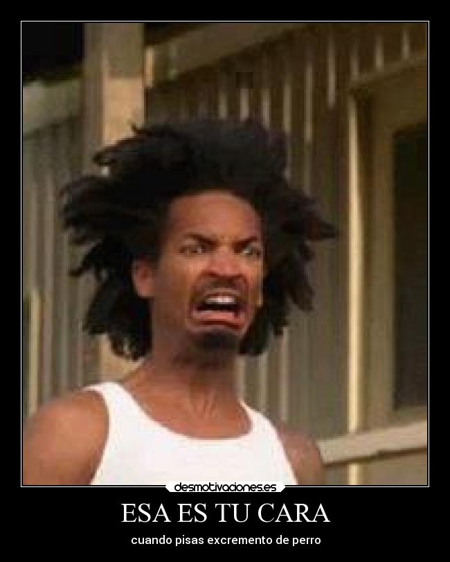 carteles humor name earl darnel cara cuando pisas excremento perro desmotivaciones