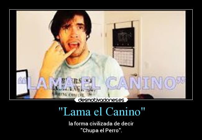 Lama el Canino -