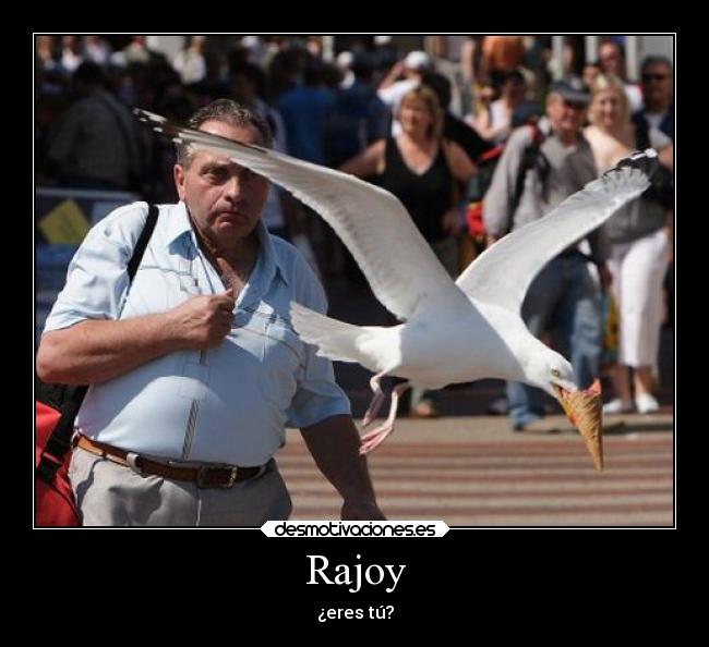 Rajoy -
