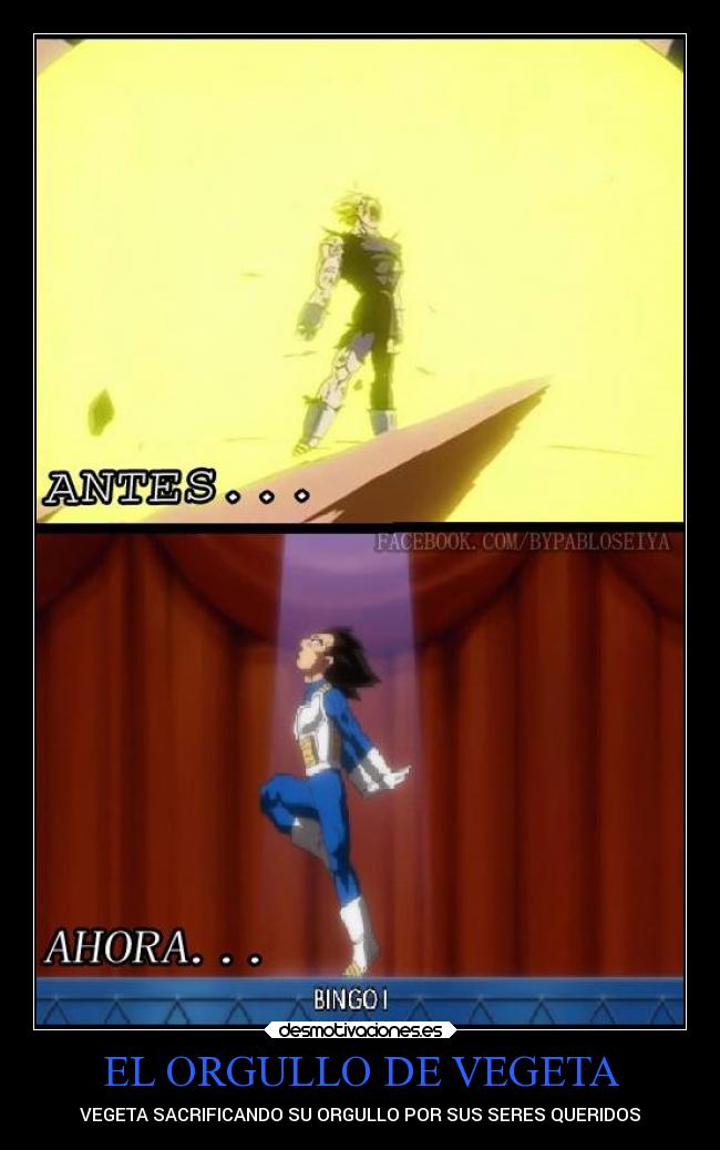 EL ORGULLO DE VEGETA -