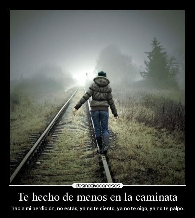 Te hecho de menos en la caminata - 