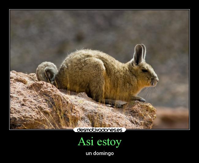 carteles animales desmotivaciones