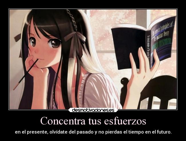 Concentra tus esfuerzos -