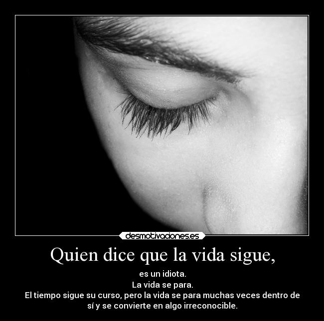 Quien dice que la vida sigue, - es un idiota.
La vida se para.
El tiempo sigue su curso, pero la vida se para muchas veces dentro de
sí y se convierte en algo irreconocible.